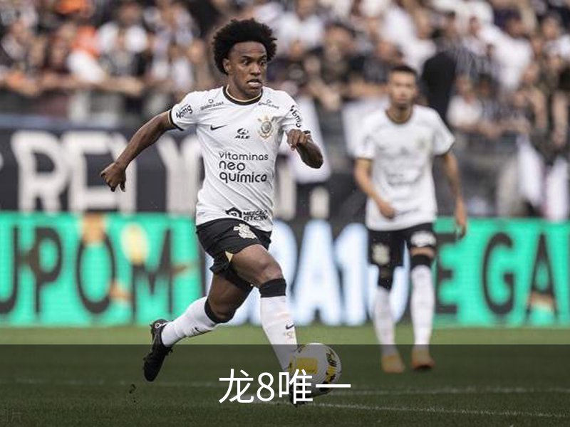 关于龙8唯一